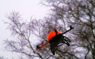 Schulung + Training für das perfekte Bild